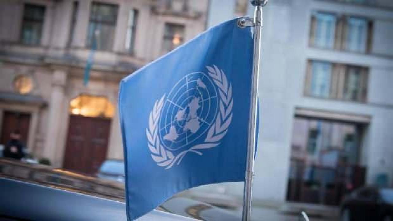 Birleşmiş Milletler (BM) İnsani