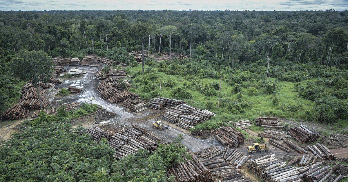 brezilyada yerlilerin zaferi amazonlarda 6 bolgede madencilik yasaklandi 12 fnvtJbfi
