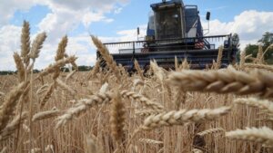 Bakan Vahit Kirişci’den buğday fiyatı açıklaması