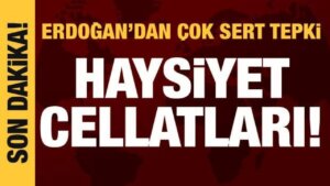 Cumhurbaşkanı Erdoğan’dan sert reaksiyon: Haysiyet cellatları!
