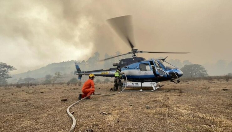 Meksika’da orman yangını: 1 meyyit