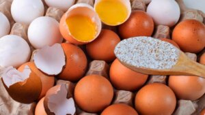 Yumurta kabuklarının hiç bilmediğiniz kullanım alanları: Yumurta kabukları nasıl tüketilir?