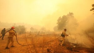 Çanakkale’de orman yangını: Bir köy boşlaltıldı!