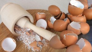 Yumurta kabuklarının yararları: Yumurta kabukları ne işe fayda, nasıl kurutulur?