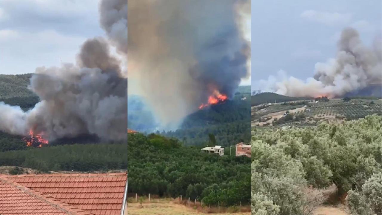 Bursa’da orman yangını! Vali bölgede