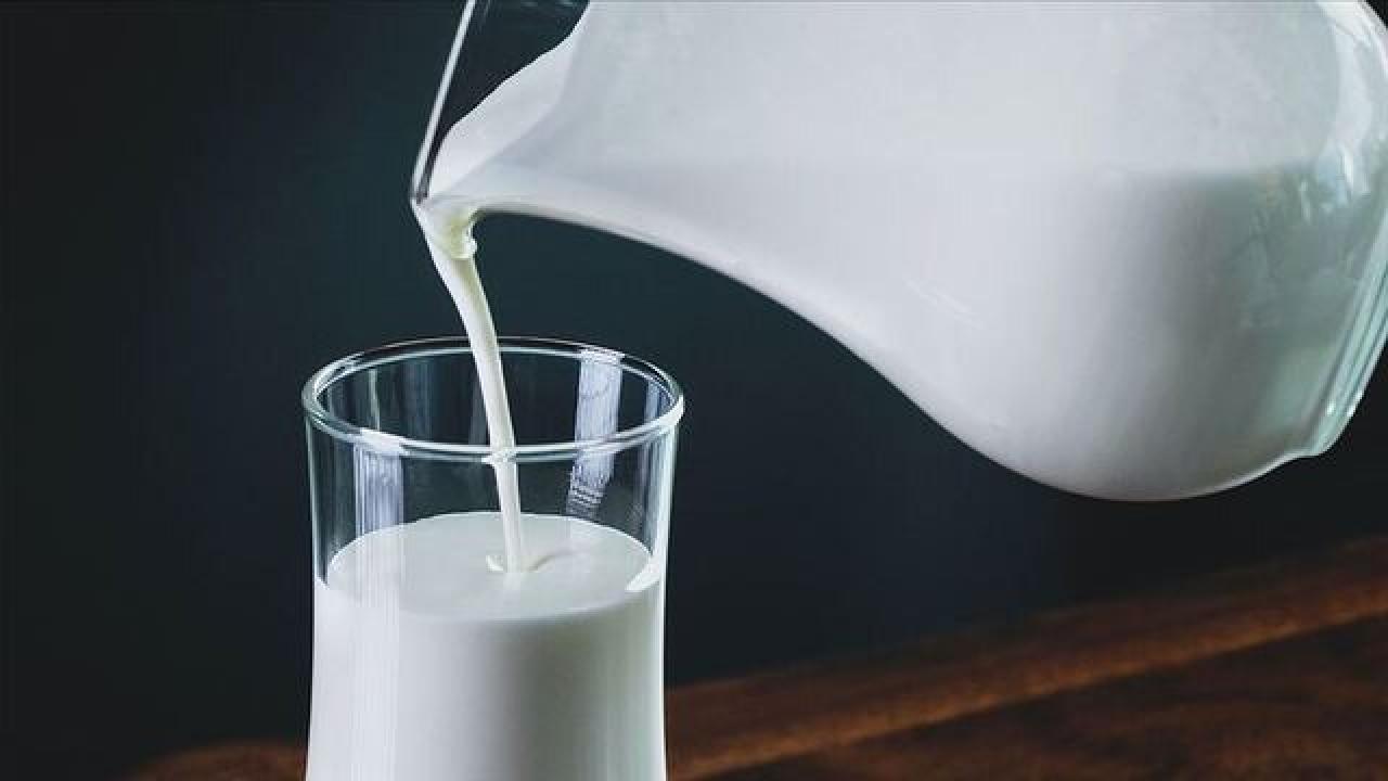 Sütaş’tan süt ve süt eserlerinde ihracat rekoru