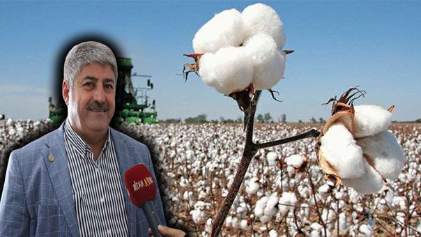Yeni sezon pamuk fiyatlarıyla ilgili Başkanı Eyyüpoğlu’ndan flaş açıklama